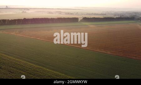 Morgennebel über den Feldern bei Sonnenaufgang, fliegen über die Landschaft in einem Feld hoch am Himmel Stockfoto