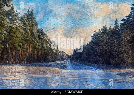 Winter Kiefernwald gegen den Himmel. Hohe Pinien mit Schnee bedeckt. Breite Lichtung zwischen immergrünen Bäumen. Ein sonniger Dezembertag. Stockfoto