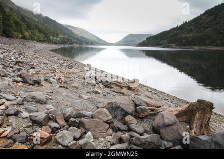 11. September 2021 Thirlmere Reservoir, Cumbria. Am Donnerstag, dem 9. September, wurden Kunden von United Utilities, die Wasser in den Nordwesten Englands liefern, verblüfft, als sie eine E-Mail erhielten, in der sie aufgefordert wurden, weniger Wasser zu verwenden, da die Reservoirs für diese Jahreszeit niedriger waren als normal. Dies schien ungewöhnlich, da Besucher der UU-Website mit einem Begrüßungsbildschirm begrüßt wurden, der ihnen mitteilte, was bei Hochwasser zu tun sei, da sintflutartige Regenfälle prognostiziert wurden. Um Manchester herum und in den Pennines sind die Niveaus gesund, aber Haweswater und Thirlmere, die von Manchester Waterworks im Jahr 1896 gebaut wurden, haben nur noch 36% übrig, wi Stockfoto