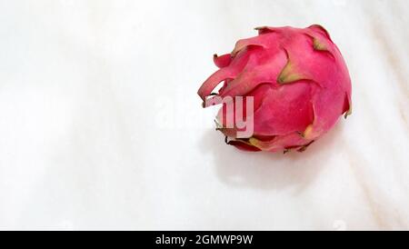 Draufsicht auf eine einzelne rote Drachenfrucht. Mit Kopierplatz auf der linken Seite. Stockfoto