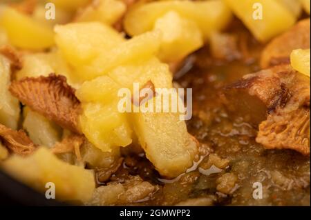 Gebratene Kartoffeln mit Pilzen, Nahaufnahme, selektiver Fokus. Ein traditionelles Dorfgericht Stockfoto