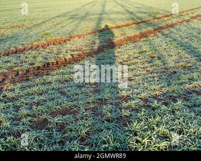 Oxfordshire, England - 30. Dezember 2020; keine Menschen im Blick. Ich liebe Strommasten; ihre abstrakten, vergilbten Formen finde ich unendlich faszinierend. Stockfoto