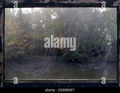 Aufgenommen an einem nebligen Herbstmorgen in St. Helens Wharf. Dies ist ein bekannter Schönheitsort an der Themse in meiner Heimatstadt Abingdon, Oxfordshire. It Stockfoto