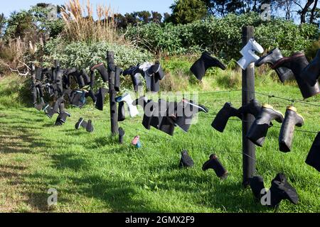 Northlands, Neuseeland - 11. Mai 2012 ist das eine Kunstinstallation, ein Witz, ein Happening? In der Tat, es ist typisch Kiwi Humor. In der ganzen Welt, in Neuseeland Stockfoto