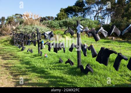 Northlands, Neuseeland - 11. Mai 2012 ist das eine Kunstinstallation, ein Witz, ein Happening? In der Tat, es ist typisch Kiwi Humor. In der ganzen Welt, in Neuseeland Stockfoto