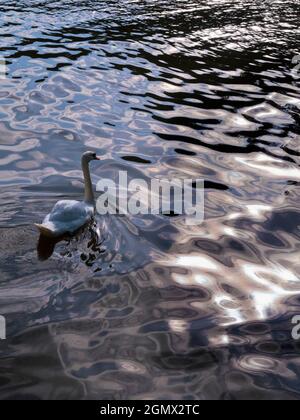 Abingdon, England - 17. August 2019 Saint Helen's Wharf ist ein bekannter Ort an der Themse, direkt oberhalb der mittelalterlichen Brücke von Abingdon Stockfoto