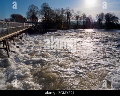 Abingdon in Oxfordshire, England - 30. November 2019; niemand in Schuss. Dieser Teil der Themse bei Abingdon Locks ist in der Regel ruhig und ruhig. Aber nicht Stockfoto