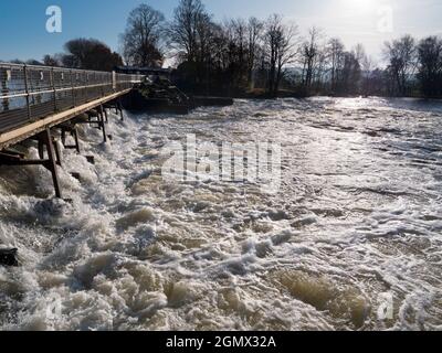 Abingdon in Oxfordshire, England - 30. November 2019; niemand in Schuss. Dieser Teil der Themse bei Abingdon Locks ist in der Regel ruhig und ruhig. Aber nicht Stockfoto