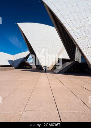 Sydney, Australien - 16/17. Februar 2109; ein Laufmännchen in Schuss. Das 1973 eröffnete Opernhaus von Sydney wurde zu einem der ikonischen Gebäude der Stockfoto