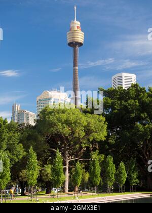 Sydney, Australien - 16. Februar 2019; ein Mann, Radfahren. Der Sydney Tower ist Sydneys höchstes Bauwerk und der zweithöchste Aussichtsturm im Süden Stockfoto