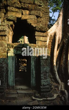 TA Phrom, Kambodscha - 19. Januar 2005; Ta Prohm ist ein bekannter Tempel in Angkor, Provinz Siem Reap, Kambodscha. Es wurde im Bayon-Stil gebaut, Largel Stockfoto