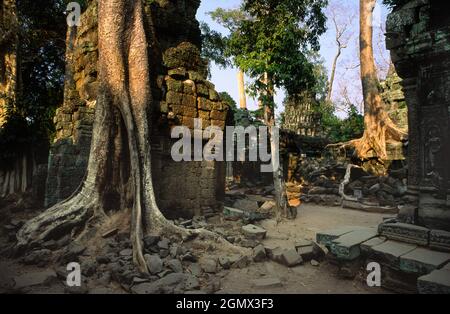 TA Phrom, Kambodscha - 19. Januar 2005; Ta Prohm ist ein bekannter Tempel in Angkor, Provinz Siem Reap, Kambodscha. Es wurde im Bayon-Stil gebaut, Largel Stockfoto