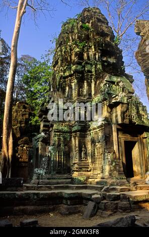 TA Phrom, Kambodscha - 19. Januar 2005; Ta Prohm ist ein bekannter Tempel in Angkor, Provinz Siem Reap, Kambodscha. Es wurde im Bayon-Stil gebaut, Largel Stockfoto