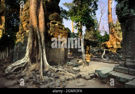 TA Phrom, Kambodscha - 19. Januar 2005; Ta Prohm ist ein bekannter Tempel in Angkor, Provinz Siem Reap, Kambodscha. Es wurde im Bayon-Stil gebaut, Largel Stockfoto