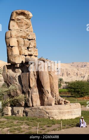 Luxor, Ägypten - 30. November 2010; die Memnonkolosse sind zwei massive Steinstatuen des Pharao Amenhotep III, die auf seiner Hieroglyth-Inschrift sitzen Stockfoto