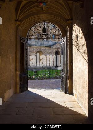 Das intime Tor zwischen zwei der historischsten Wahrzeichen von Oxford: Der Bodleian Library und dem Radcliiffe Square. Die Bodleian Library, das Hauptresea Stockfoto