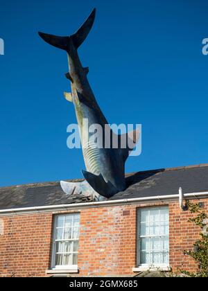 Der Headington Shark ist eine Dachskulptur in der New High Street in Headington, Oxford, England. Dieses surreale öffentliche Kunstwerk zeigt einen überdimensionalen Sh Stockfoto