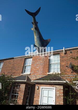 Der Headington Shark ist eine Dachskulptur in der New High Street in Headington, Oxford, England. Dieses surreale öffentliche Kunstwerk zeigt einen überdimensionalen Sh Stockfoto