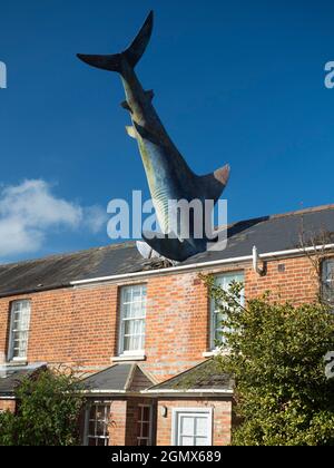 Der Headington Shark ist eine Dachskulptur in der New High Street in Headington, Oxford, England. Dieses surreale öffentliche Kunstwerk zeigt einen überdimensionalen Sh Stockfoto