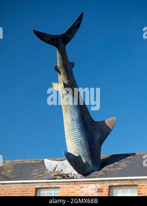 Der Headington Shark ist eine Dachskulptur in der New High Street in Headington, Oxford, England. Dieses surreale öffentliche Kunstwerk zeigt einen überdimensionalen Sh Stockfoto