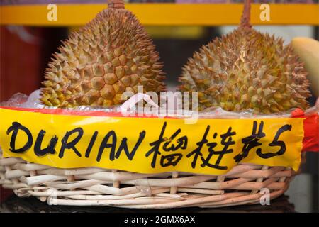 Der Durian wird von vielen Menschen in Südostasien als der „König der Früchte“ angesehen und ist für seine große Größe, seinen starken Geruch und sein beeindruckendes Dorn-Co charakteristisch Stockfoto