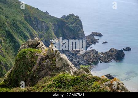 Eine Heringmöwe auf den felsigen Klippen von Icart, Guernsey, Channel Islands Stockfoto