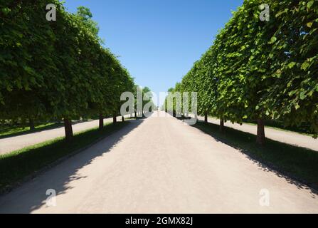 St. Petersburg, Russland - 11. Juni 2011. Der Peterhof Palace ist ein üppiger Komplex von Palästen und Gärten in Petergof, Sankt Petersburg, Russland. It Stockfoto