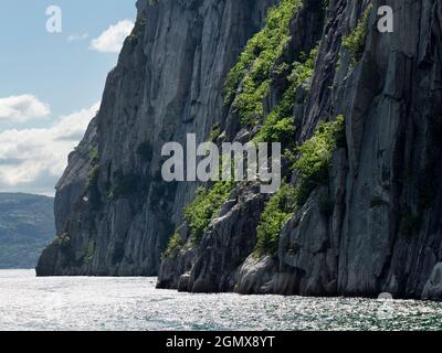 Lysefjord ist ein Fjord im Gebiet Ryfylke im Südwesten Norwegens. Der 42 Kilometer lange Fjord liegt in der Gemeinde Forsand im Landkreis Rogaland, Stockfoto