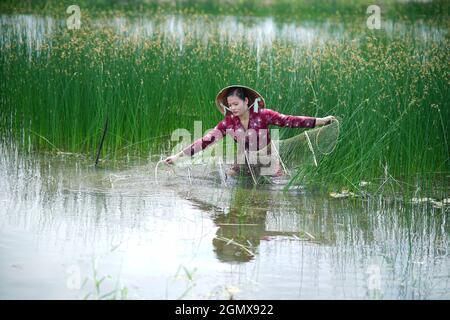 Schöne Landschaft in der Provinz Ca Mau im Süden Vietnams Stockfoto