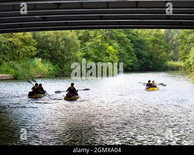 Iffley, Oxfordshire - England - 13. Juli 2019; sechs Kanufahrer im Blick. Es ist früh an einem Sommermorgen, und ich bin auf meinem täglichen Spaziergang. Ich bin unter einem alten Schlafzimmer Stockfoto