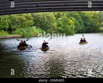 Iffley, Oxfordshire - England - 13. Juli 2019; sechs Kanufahrer im Blick. Es ist früh an einem Sommermorgen, und ich bin auf meinem täglichen Spaziergang. Ich bin unter einem alten Schlafzimmer Stockfoto