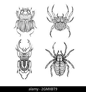 Satz von Linienvektoren für Käfer und Spinnen. Handzeichnung Stock Vektor