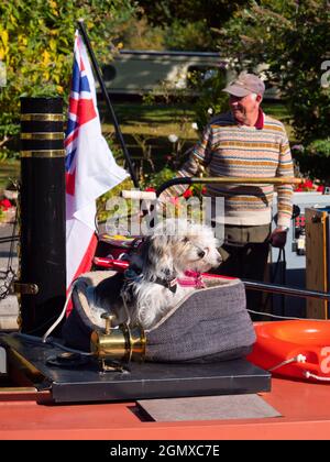 Abingdon in Oxfordshire, England - 1. September 2019. Eine Person im Blick. Eine zeitlose Szene an Abingdon Schleusentoren an einem schönen Herbsttag; das sind sie Stockfoto