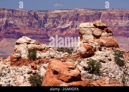 Arizona, USA - 2008. Juni; die spektakulären Vermilion Cliffs von Arizona und Utah bestehen aus abgeschiedenen Schlamm- und Wüstendünen, die durch Infiltrat zementiert werden Stockfoto