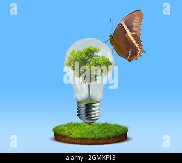 Glühbirne mit Pflanze im Inneren und Schmetterling auf der Oberseite, über einem kleinen kreisförmigen Rasen aufgehängt. Hellblauer Verlaufshintergrund Stockfoto