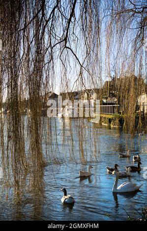 St Helens Wharf, Abingdon, England - 25. Dezember 2019 Saint Helens Wharf ist ein bekannter Schönheitsort an der Themse, direkt oberhalb des mittelalterlichen Stadtkrons Stockfoto