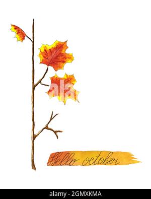 Herbstpostkartenvorlage Ahornzweig mit Schriftzug Hello October, Aquarellskizze, Handzeichnung. Isoliert, Platz für eine Inschrift, weißer Hintergrund. Vektorgrafik Stock Vektor