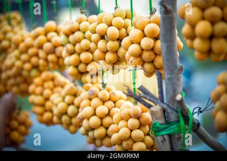 Lokale Früchte im Mekong Delta Fluss Südvietnam Stockfoto