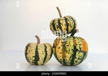 Süße Knödel dekorative Squashes Stapel. Drei kleine Kürbisse. Stockfoto