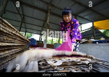 Traditionelle Farbe Nudelfabrik in Can Tho Stadt Südvietnam Stockfoto