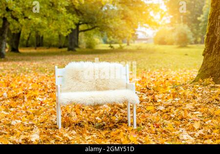 Idyllische Herbstset mit kleiner weißer Bank mit weichem Schaffell, viel goldenem Herbstahornblatt bedeckt Boden im Park, Sonne kommt vom Hintergrund. Stockfoto