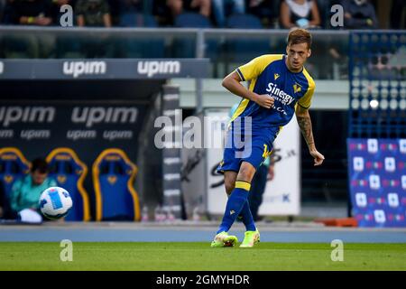 Verona, Italien. September 2021. Ivan Ilic (Verona) während Hellas Verona FC vs AS Roma, Italienische Fußballserie A Spiel in Verona, Italien, September 19 2021 Quelle: Independent Photo Agency/Alamy Live News Stockfoto