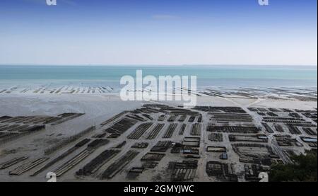 oyster Parks in Cancale, bretagne, frankreich Stockfoto