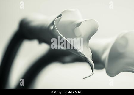 Graustufen-Aufnahme von cala Lily Flowers vor einem hellen Hintergrund Stockfoto