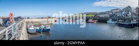 Angeln und Ausflugsboote, die bei Ebbe im Hafen von Seahouses festgemacht werden. Stockfoto