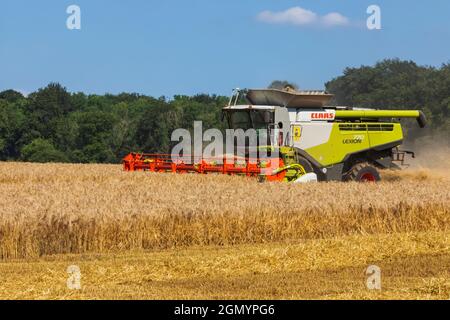 England, Hampshire, Kombinieren Sie Harvester Harvesting Wheat auf Feldern in der Nähe von Winchester Stockfoto