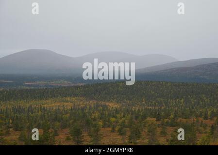 Herbstszene, Pallastunturit fellt im Hintergrund. Pallas-Yllästunturi-Nationalpark, Muonio, Finnland Stockfoto