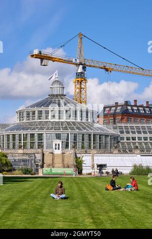 Gewächshaus im Botanischen Garten Kopenhagen (Botanisk Have), während des Baus des neuen Naturhistorischen Museums; Dänemark Stockfoto