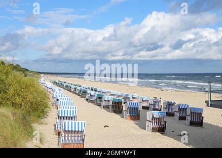 Leere Liegen, in Deutschland Strandkorb genannt, im Sand an der Ostseeküste, Tourismusort Zinnowitz auf der Insel Usedom unter blauem Himmel Stockfoto