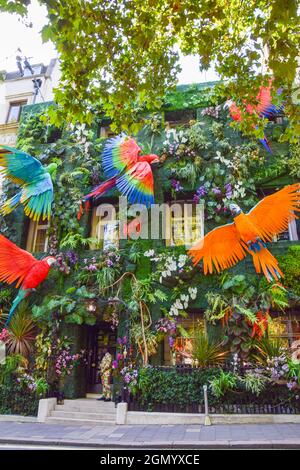 Regenwaldfassade im Annabel's Club in Mayfair, Teil einer Kampagne mit einem Baum, der zur Rettung des Amazonas-Regenwaldes gepflanzt wurde. London, Großbritannien 21. September 2021. Stockfoto